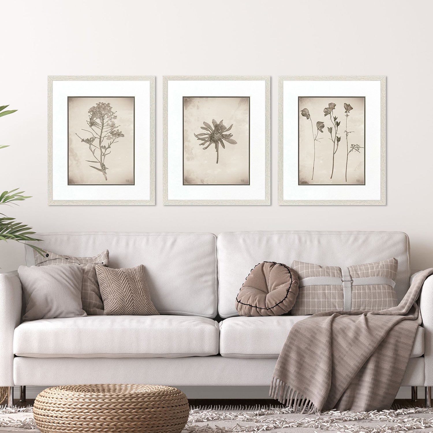 Jordan Glassco-Smith Wildflower Stems I Framed Art Set of 3