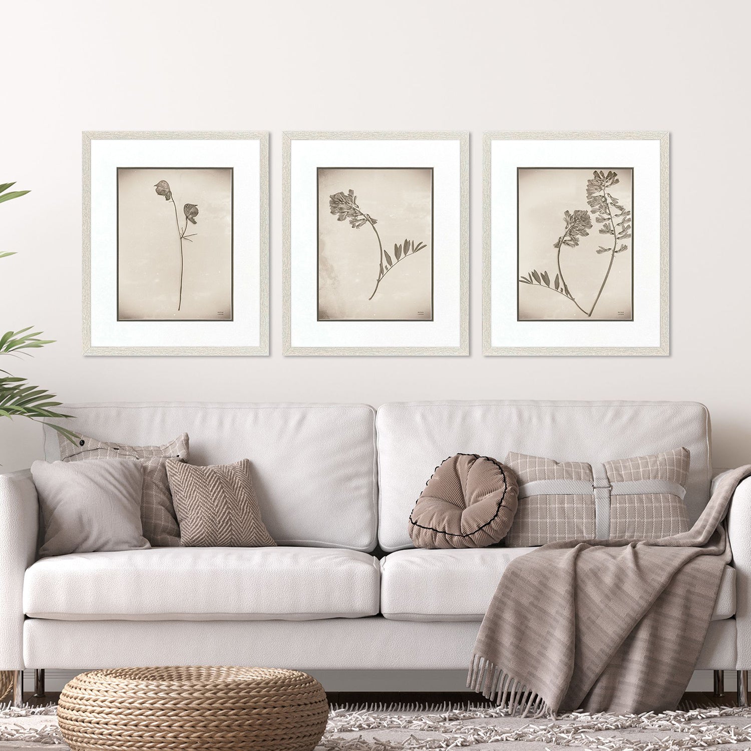 Jordan Glassco-Smith Wildflower Stems II Framed Art Set of 3