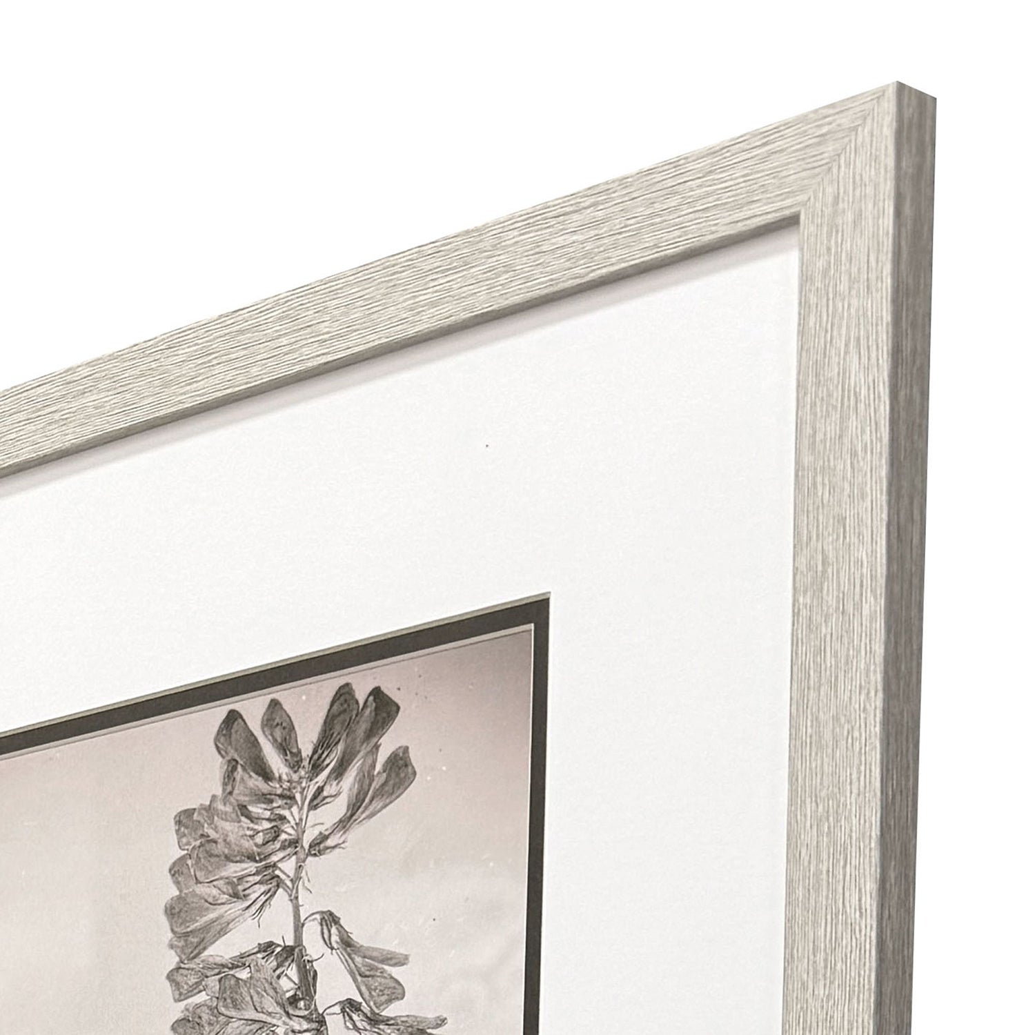 Jordan Glassco-Smith Wildflower Stems II Framed Art Set of 3