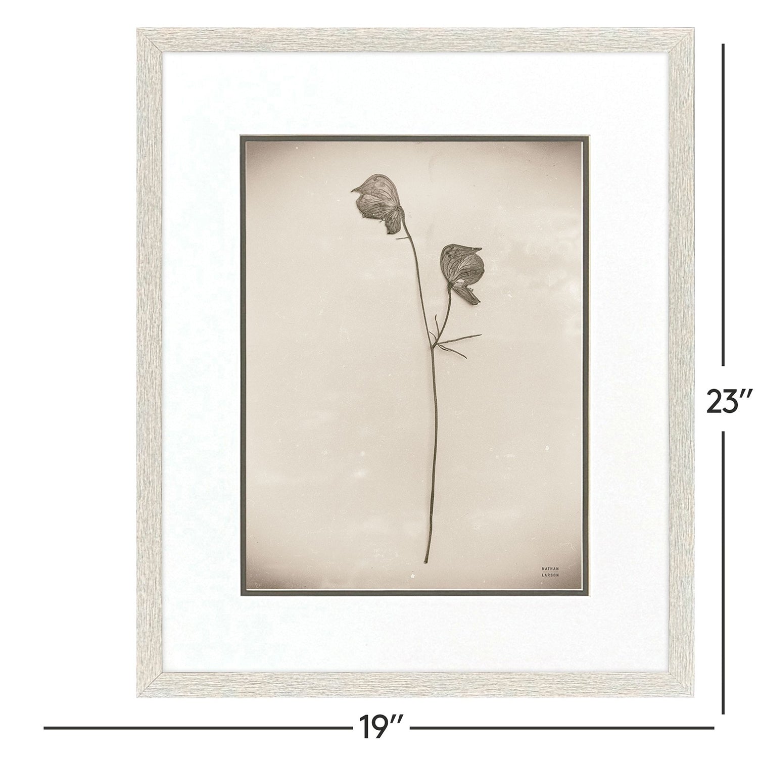 Jordan Glassco-Smith Wildflower Stems II Framed Art Set of 3