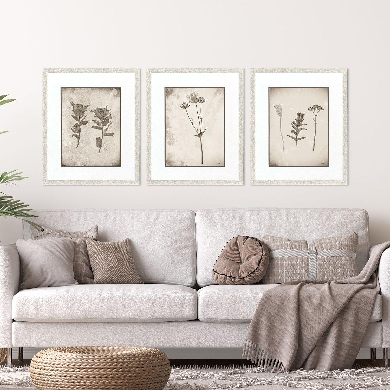 Jordan Glassco-Smith Wildflower Stems III Framed Art Set of 3