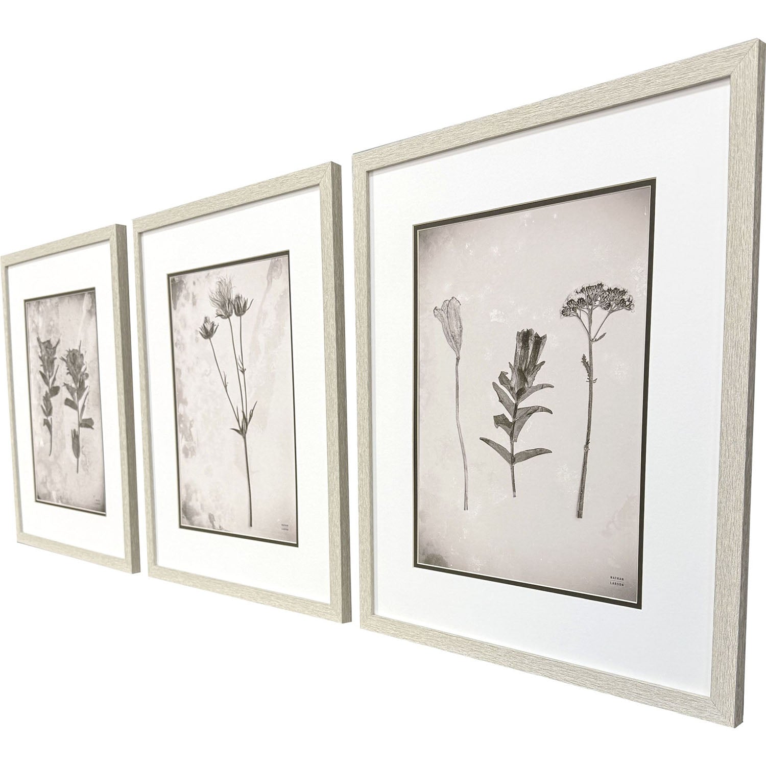 Jordan Glassco-Smith Wildflower Stems III Framed Art Set of 3