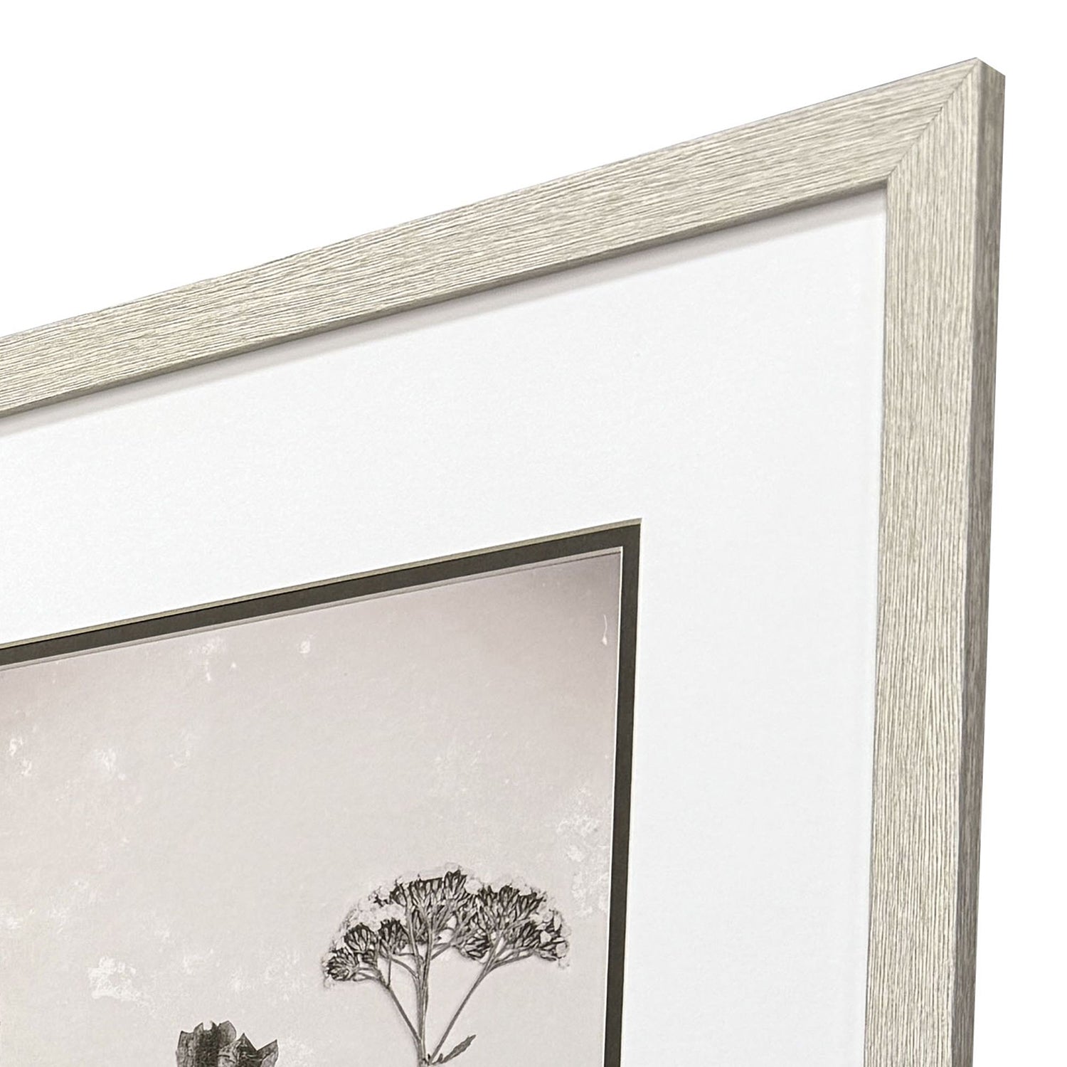 Jordan Glassco-Smith Wildflower Stems III Framed Art Set of 3