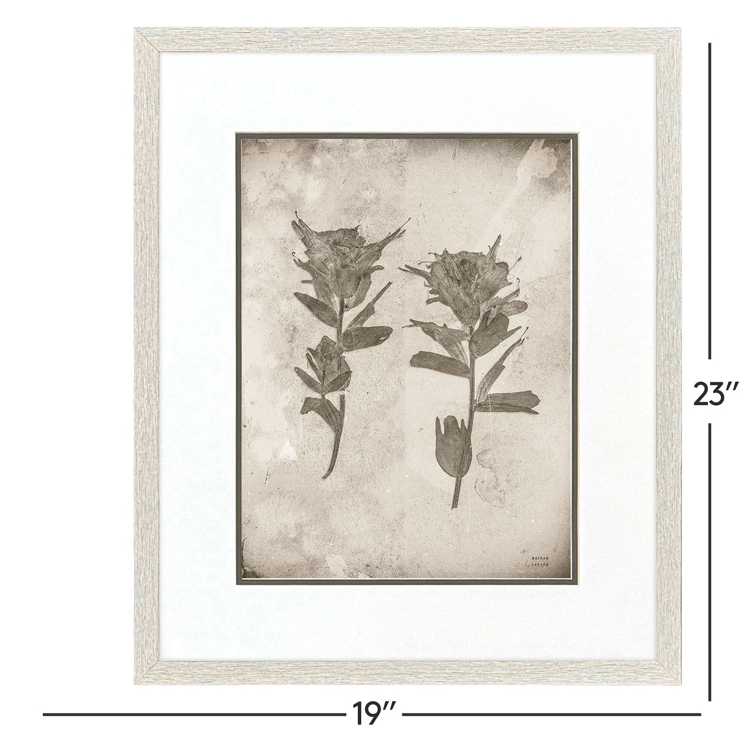 Jordan Glassco-Smith Wildflower Stems III Framed Art Set of 3