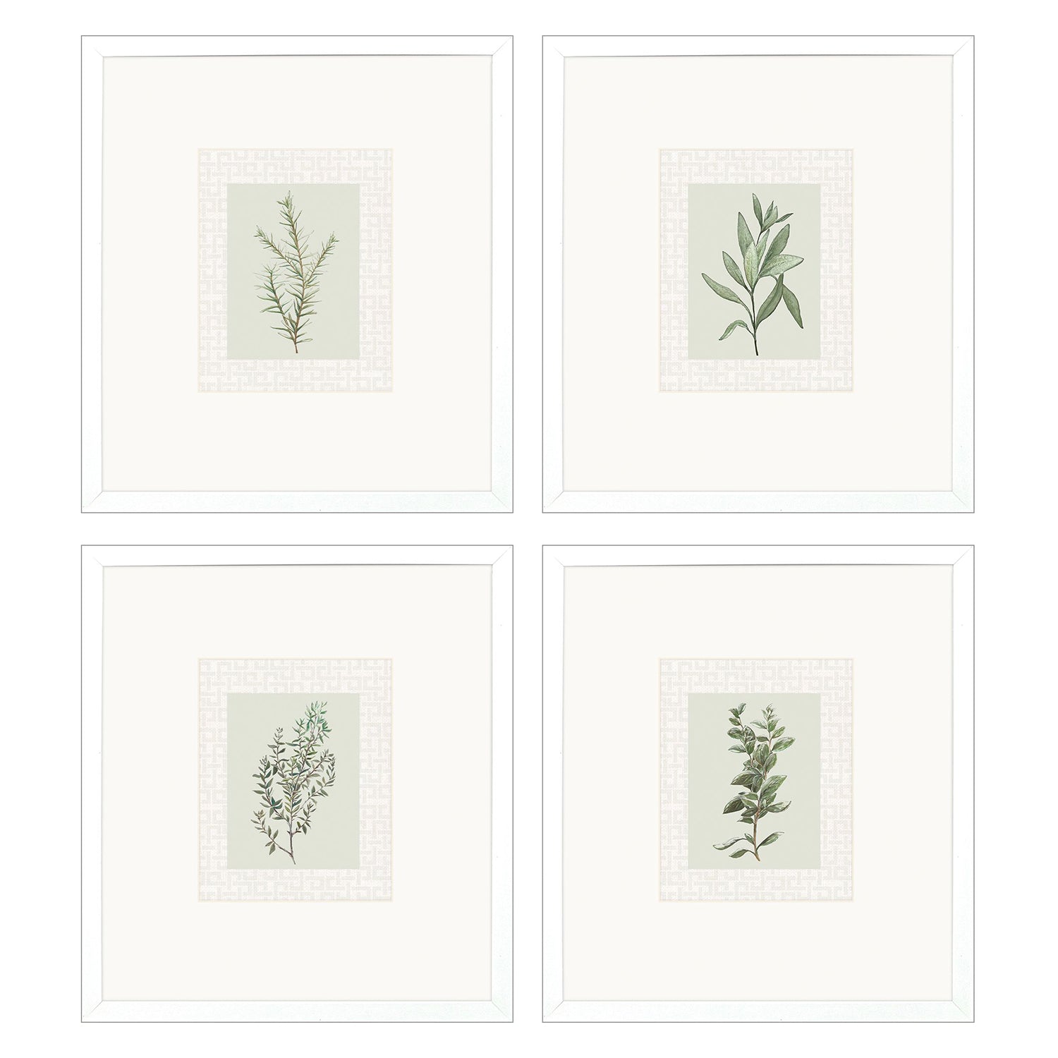 Malanta Knowles Spices Framed Art Set of 4