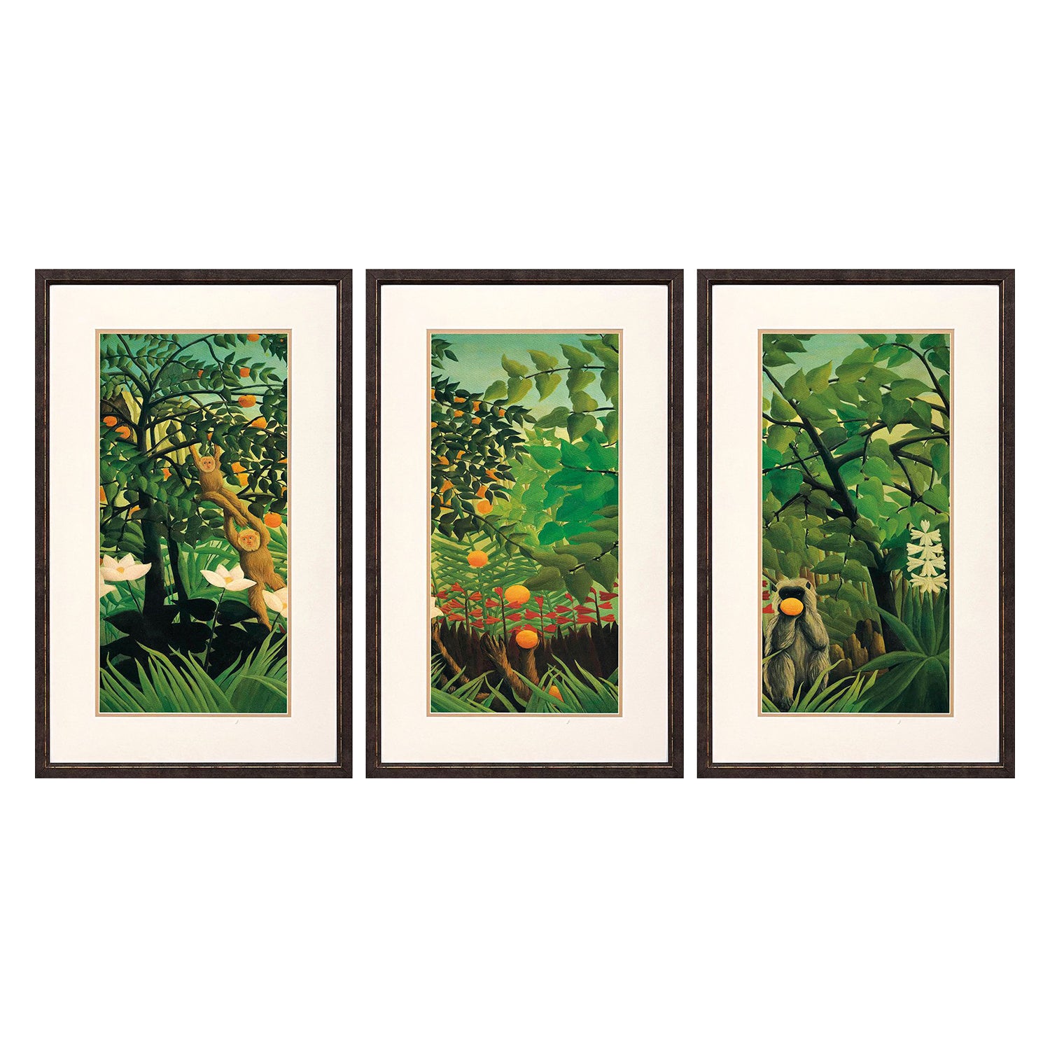 Jordan Glassco-Smith Exotic Landscape Framed Art Set of 3