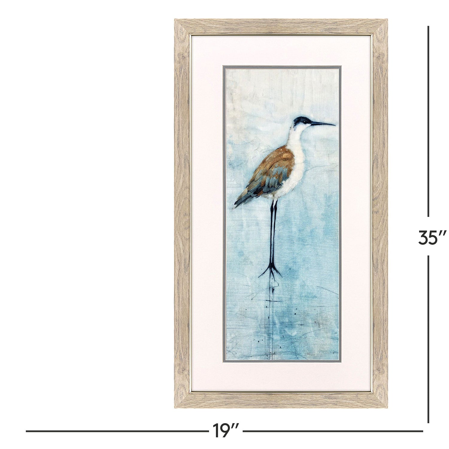 Jordan Glassco-Smith Seabirds Panel Framed Art Set of 2