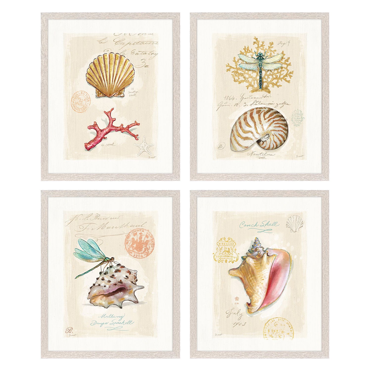 Sarah Lang Coastal Wonder Framed Art Set of 4