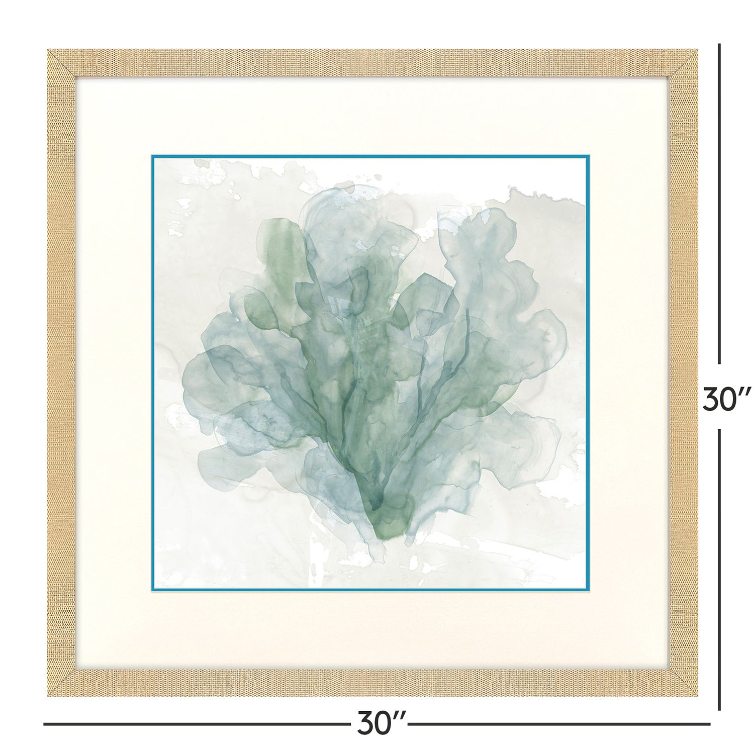 Malanta Knowles Sea Coral II Framed Art