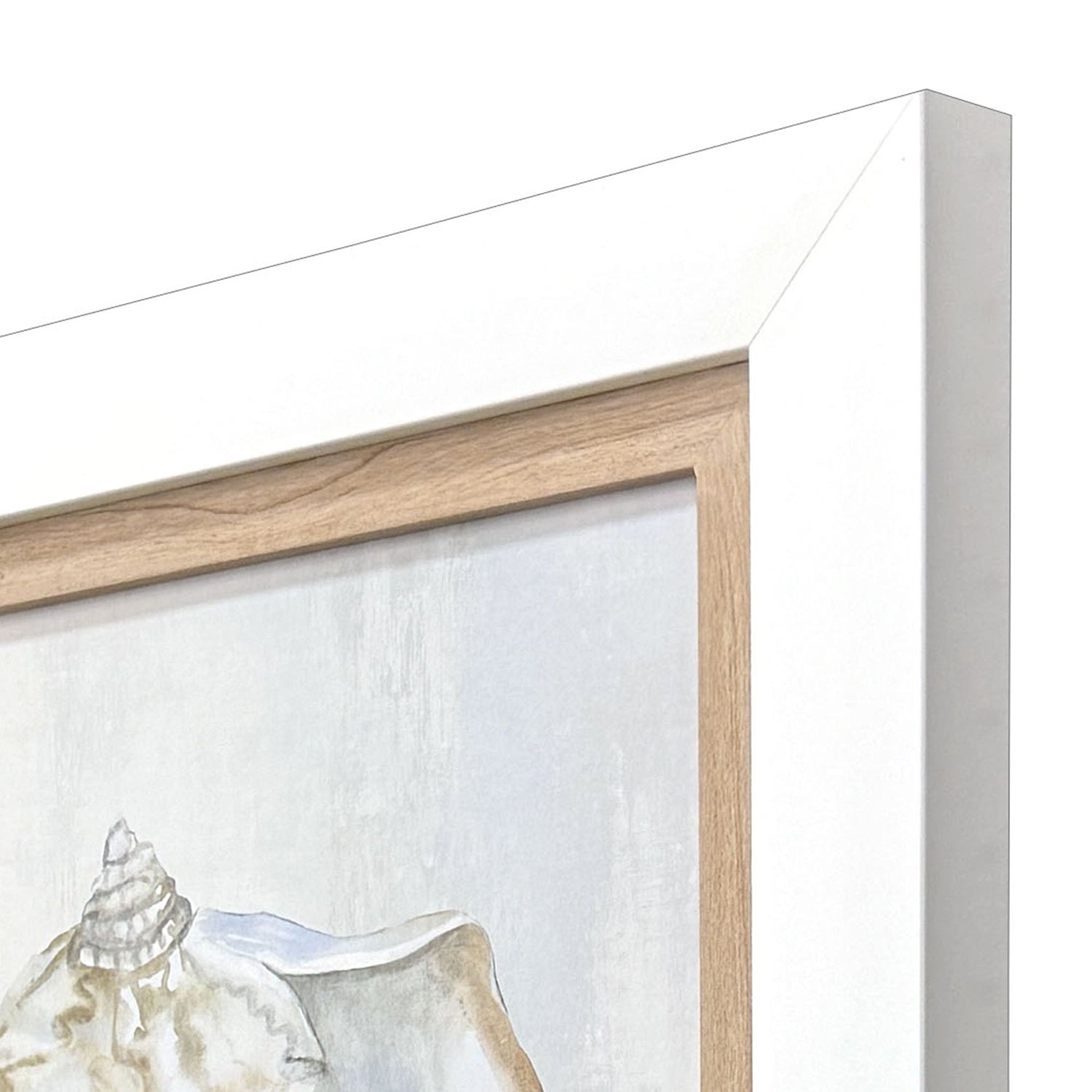Leeanne Vaughn Serenity Shells II Framed Art Set of 2