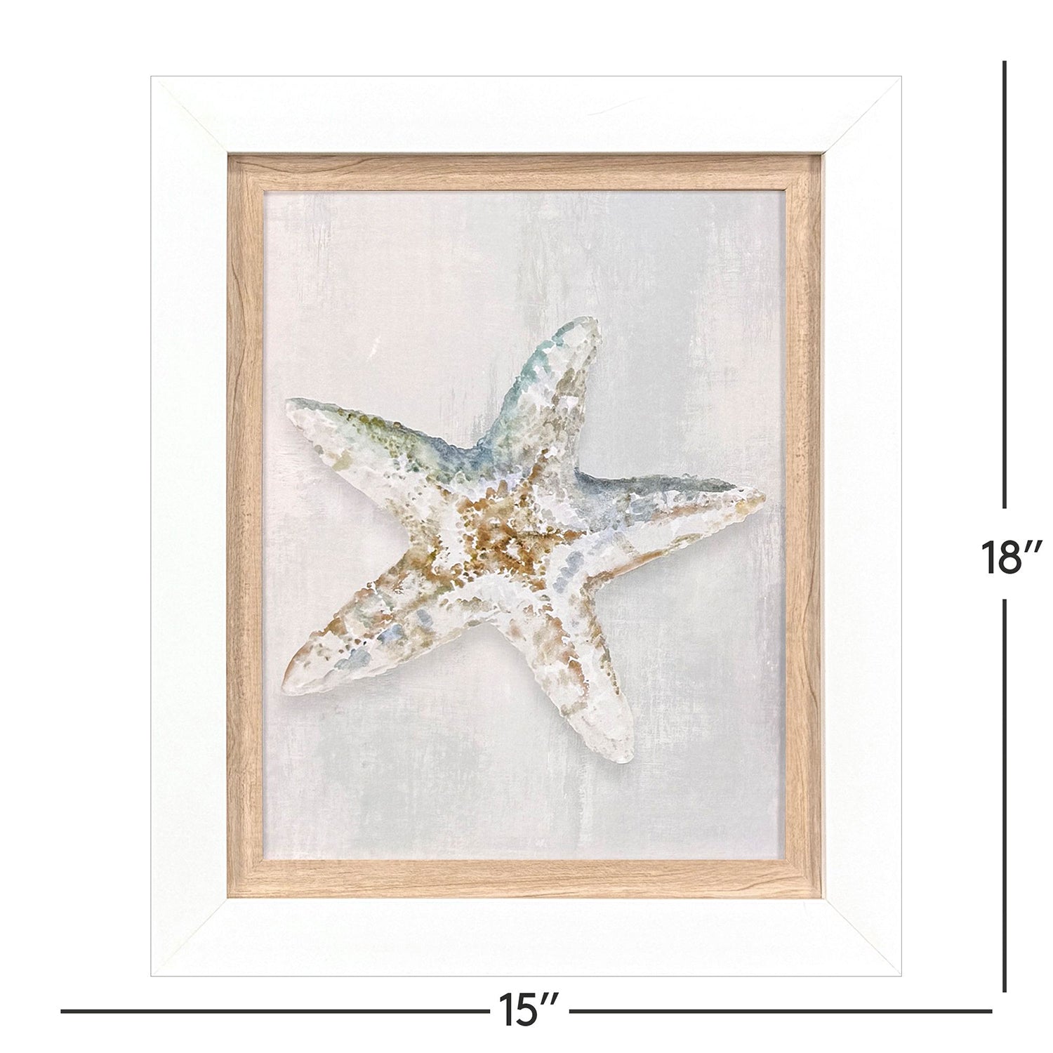 Leeanne Vaughn Serenity Shells II Framed Art Set of 2