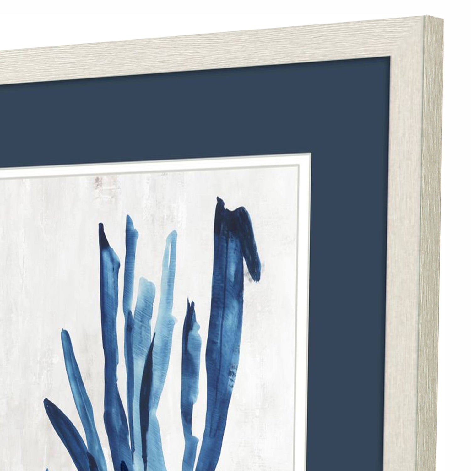 Wilson Coral Plant Framed Art Set of 2