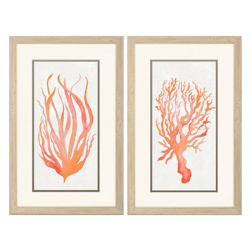 Medley Seaweed Coral Framed Art Set of 2