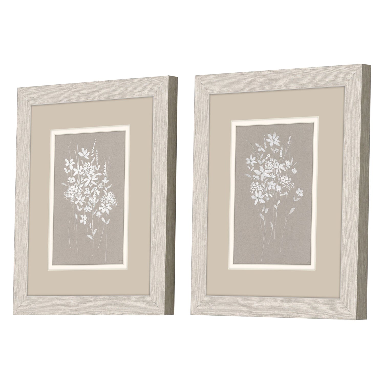Swatland Delicate Botanicals Framed Art Set of 2