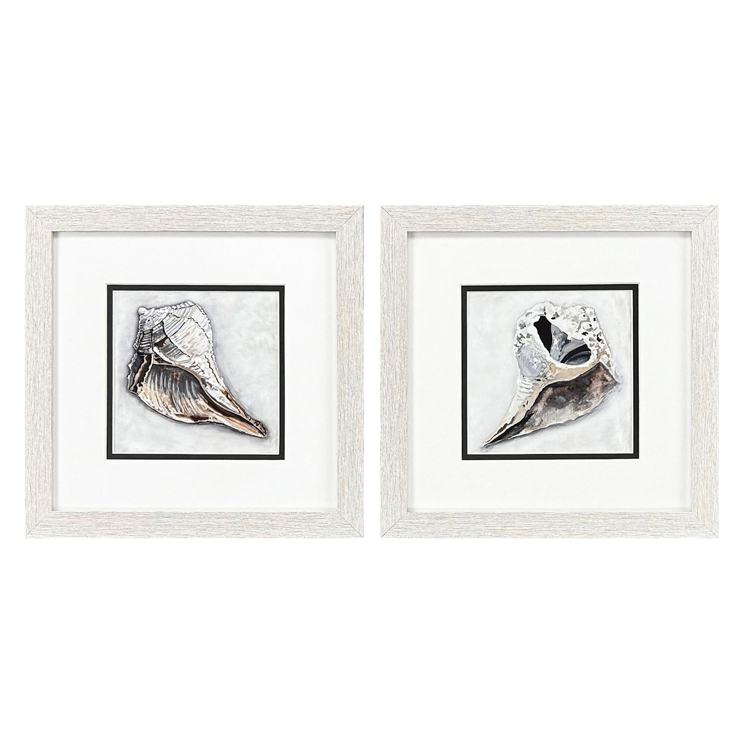 Christopher Ocean Treasure Framed Artwork Set of 2