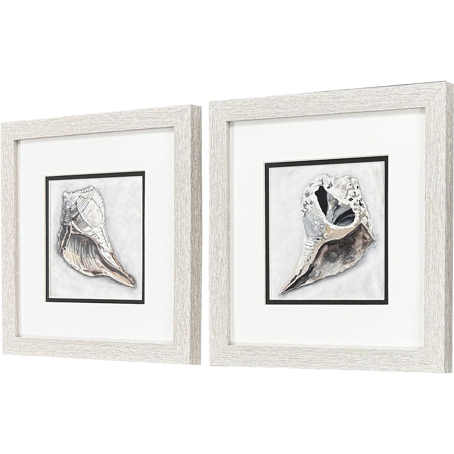 Christopher Ocean Treasure Framed Artwork Set of 2
