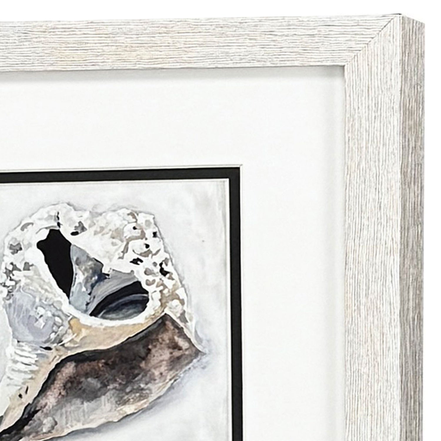 Christopher Ocean Treasure Framed Artwork Set of 2