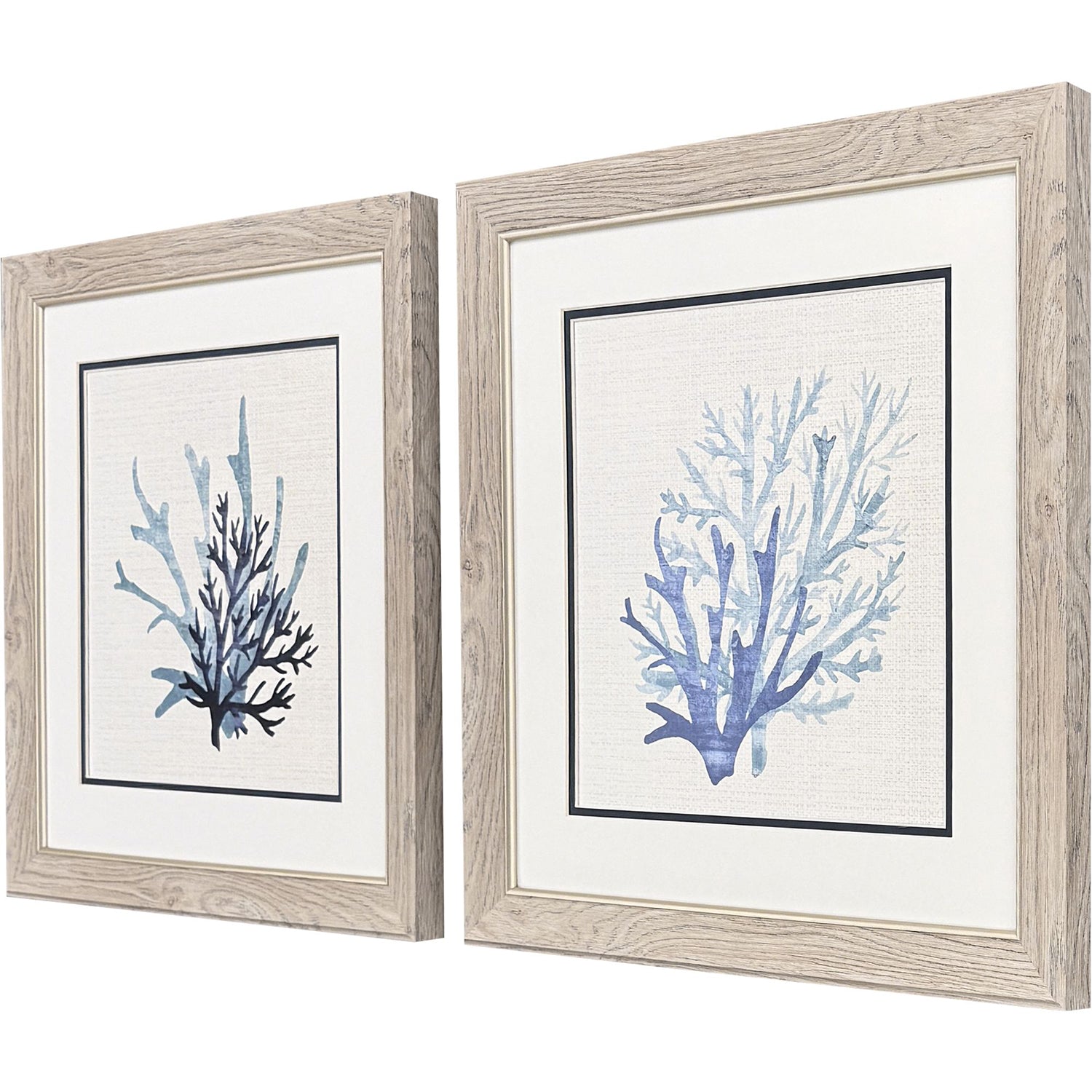 Allen Coral Shades Framed Artwork Set of 2