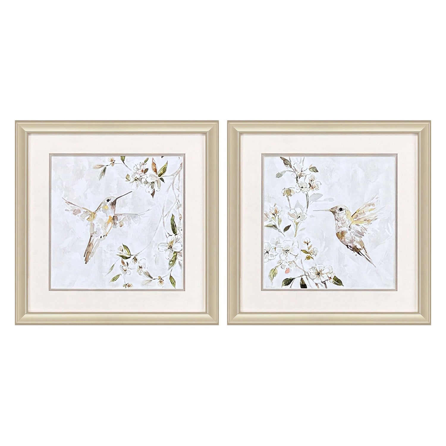Robinson Hummingbird Song Framed Artwork Set of 2