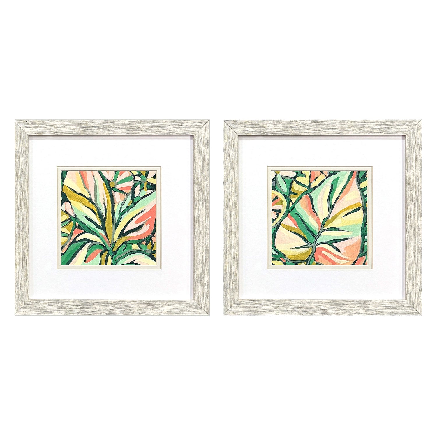 Vess Candy Tropicals I Framed Artwork Set of 2