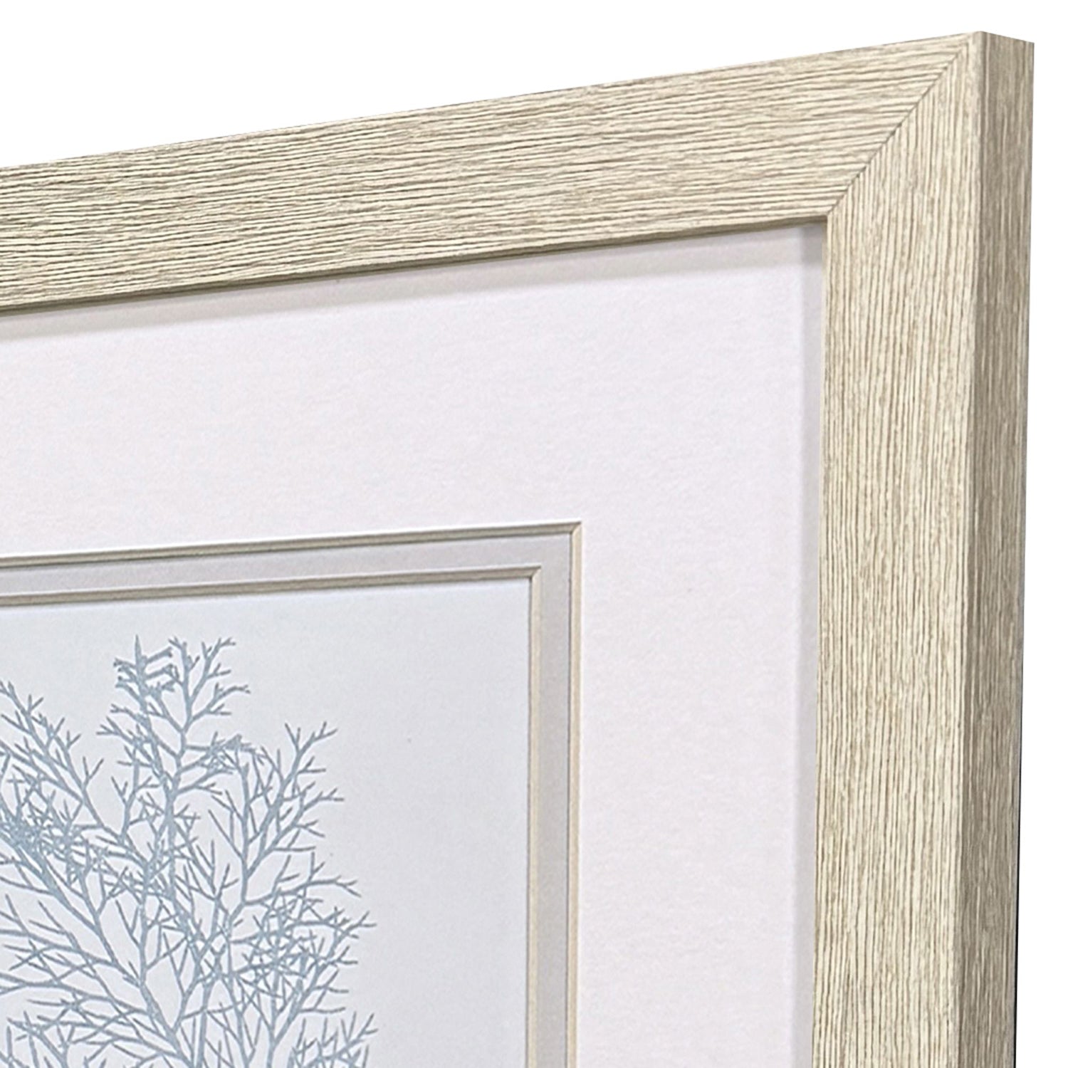 Nan Soft Coral Framed Artwork Set of 2