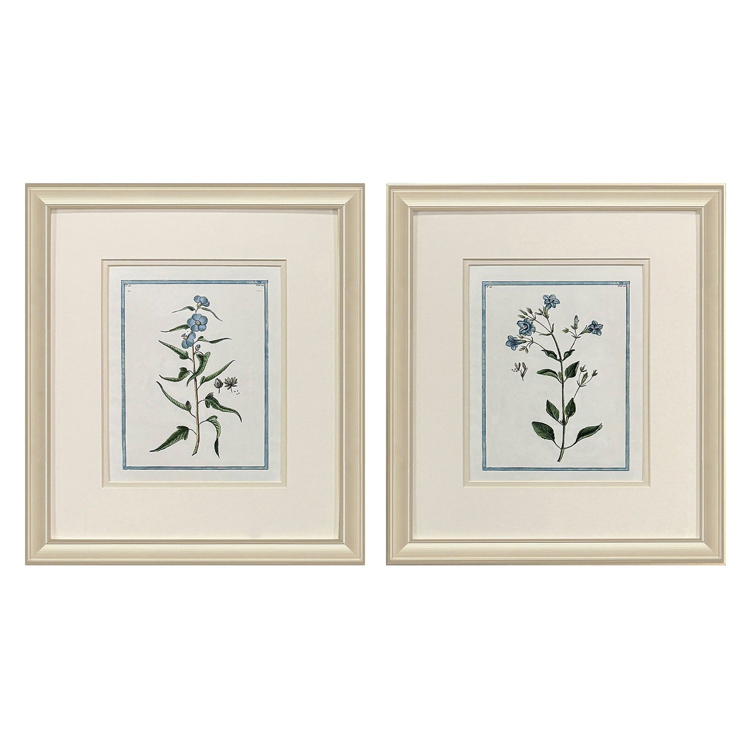 Donovan Shabby Chic Botanical Framed Artwork Set of 2