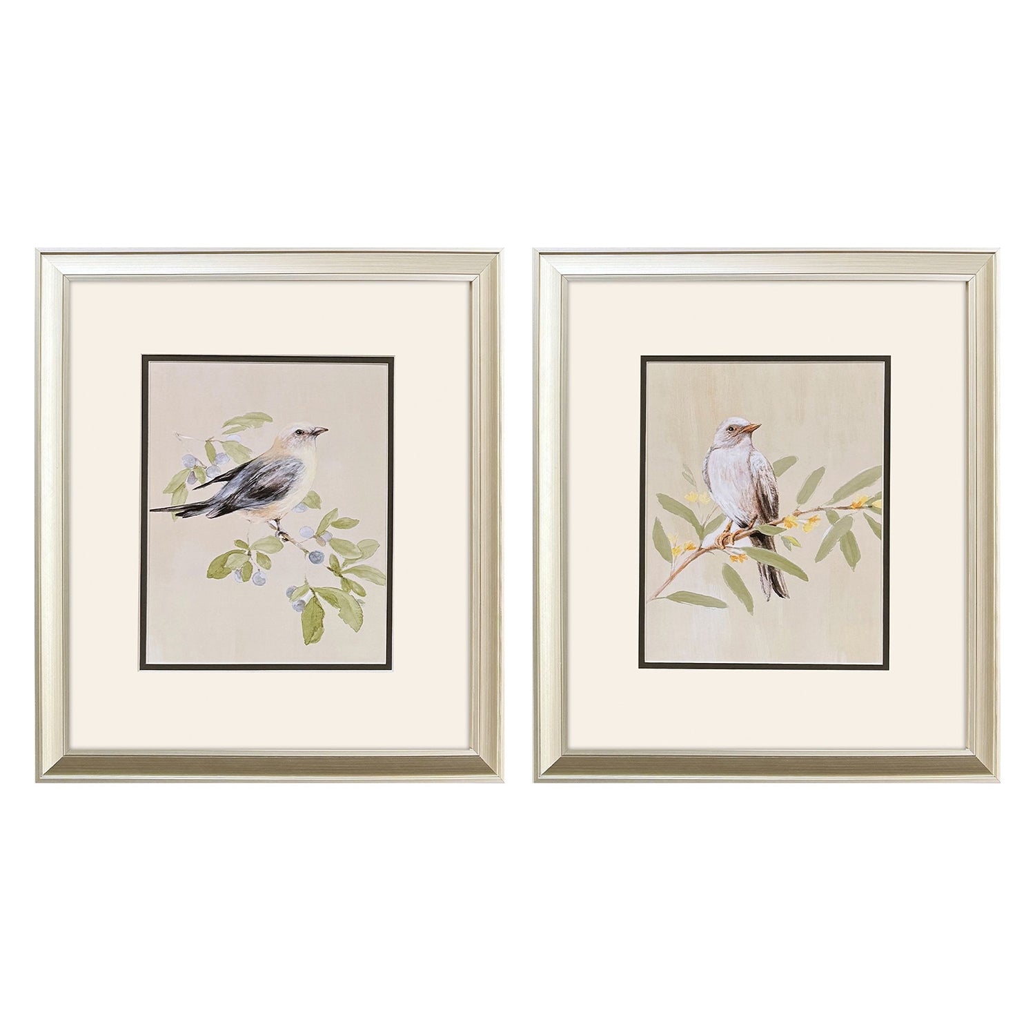 Loreth Botanical Birds Framed Artwork Set of 2