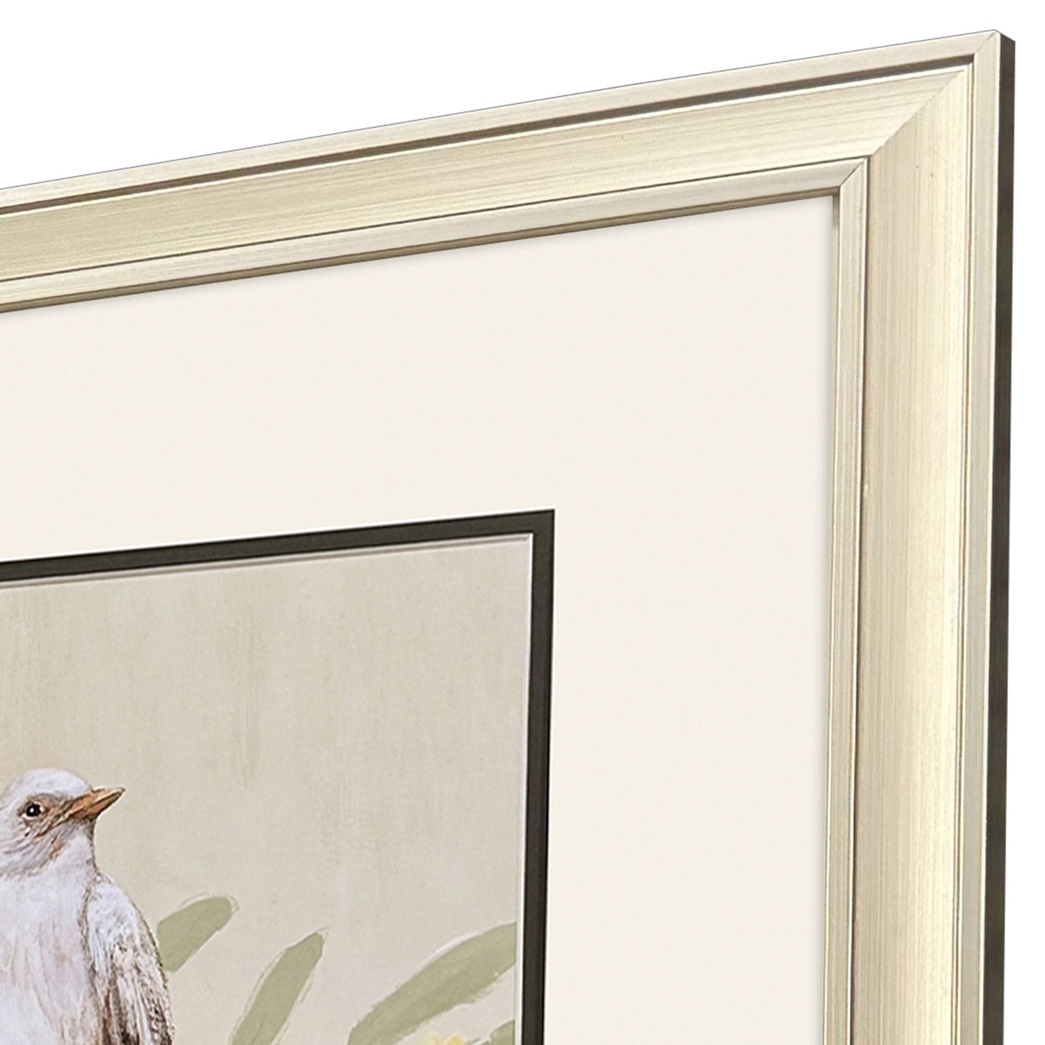 Loreth Botanical Birds Framed Artwork Set of 2
