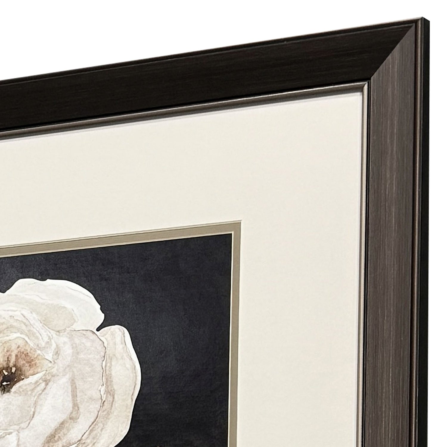 Finn Botanical on Black Framed Artwork Set of 2