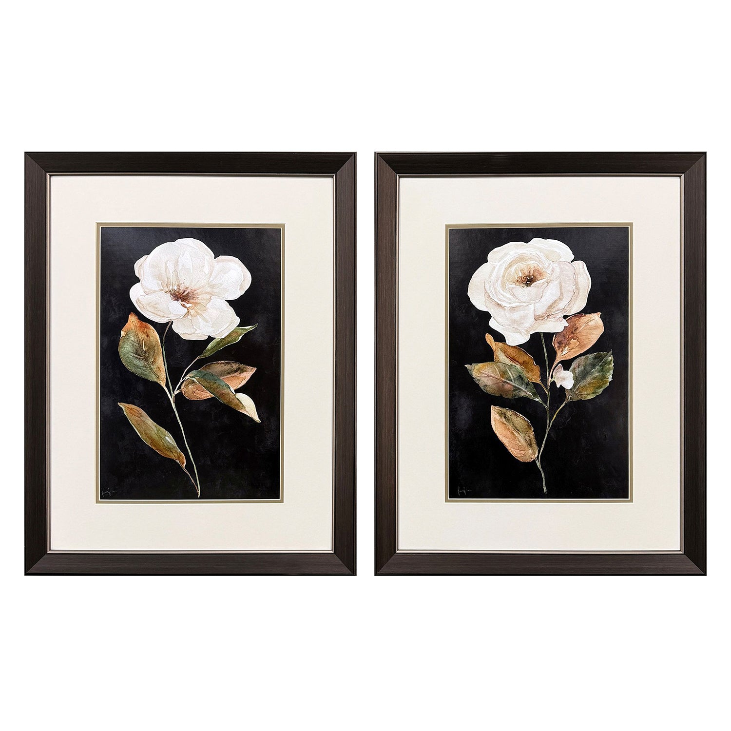 Finn Botanical on Black Framed Artwork Set of 2