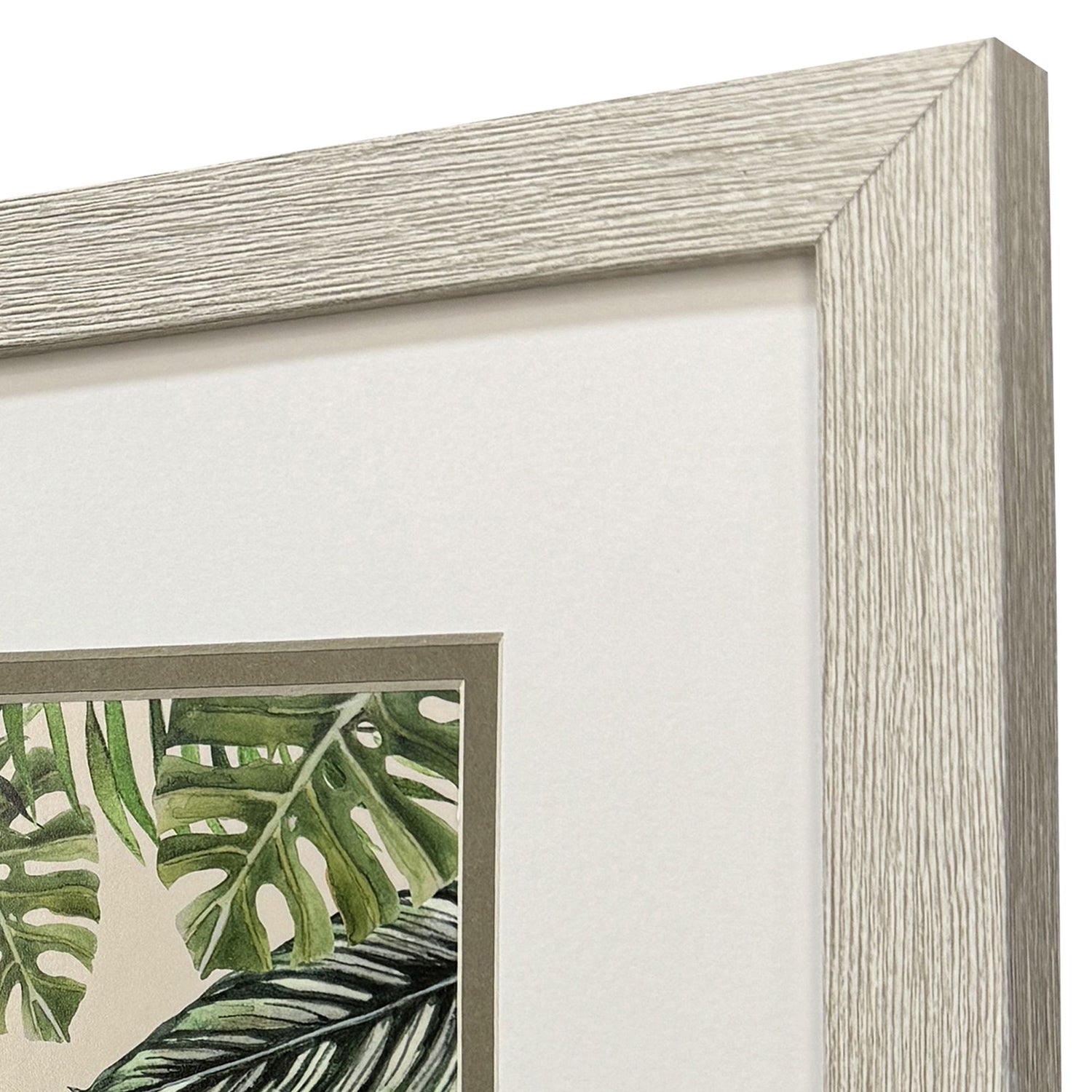 Tava Jungle Hangout Framed Artwork Set of 2