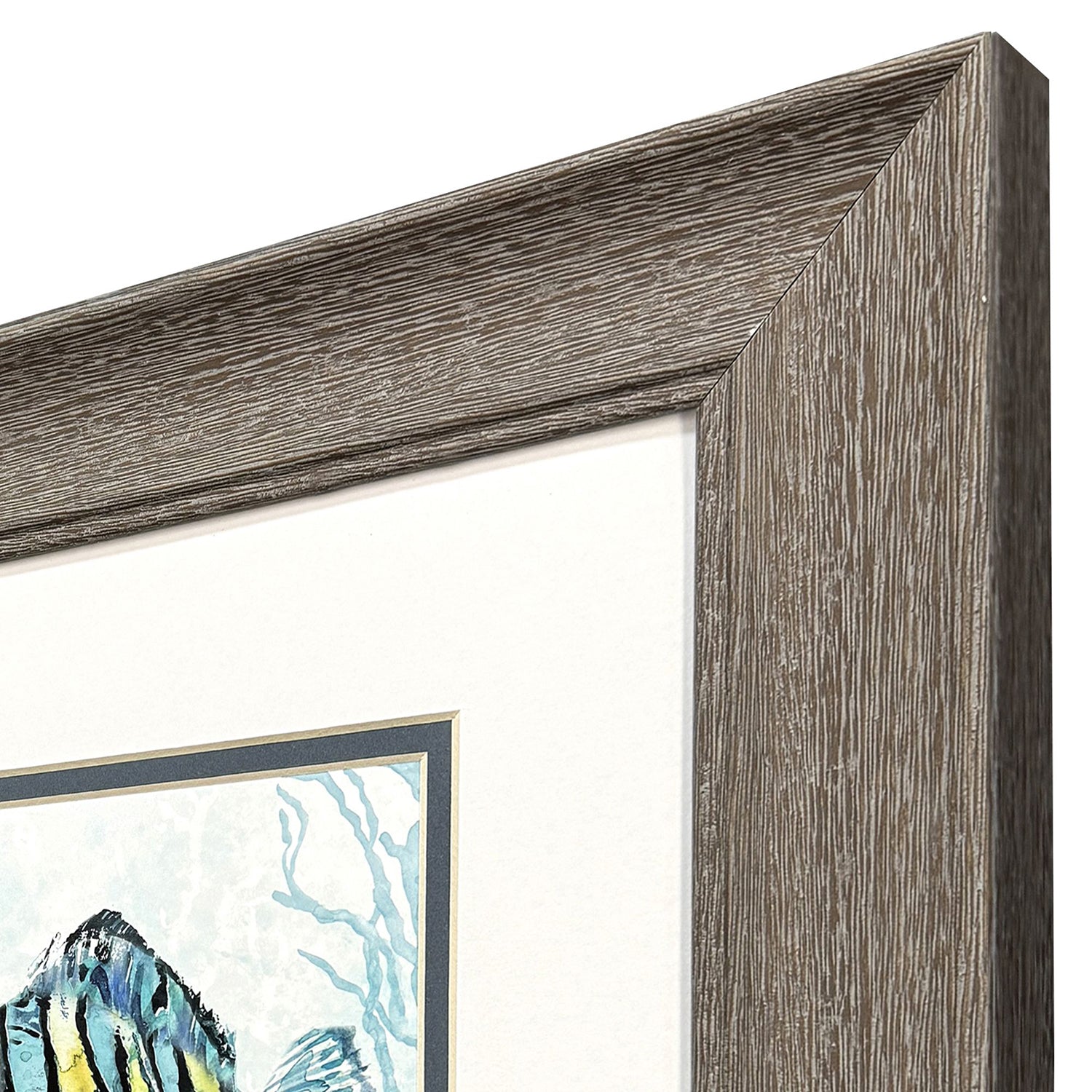 Robinson Striped Tropical Fish Framed Artwork Set of 2