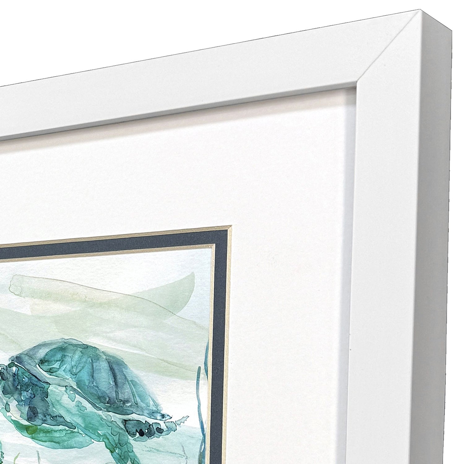 Robinson Tropical Current Framed Artwork Set of 2