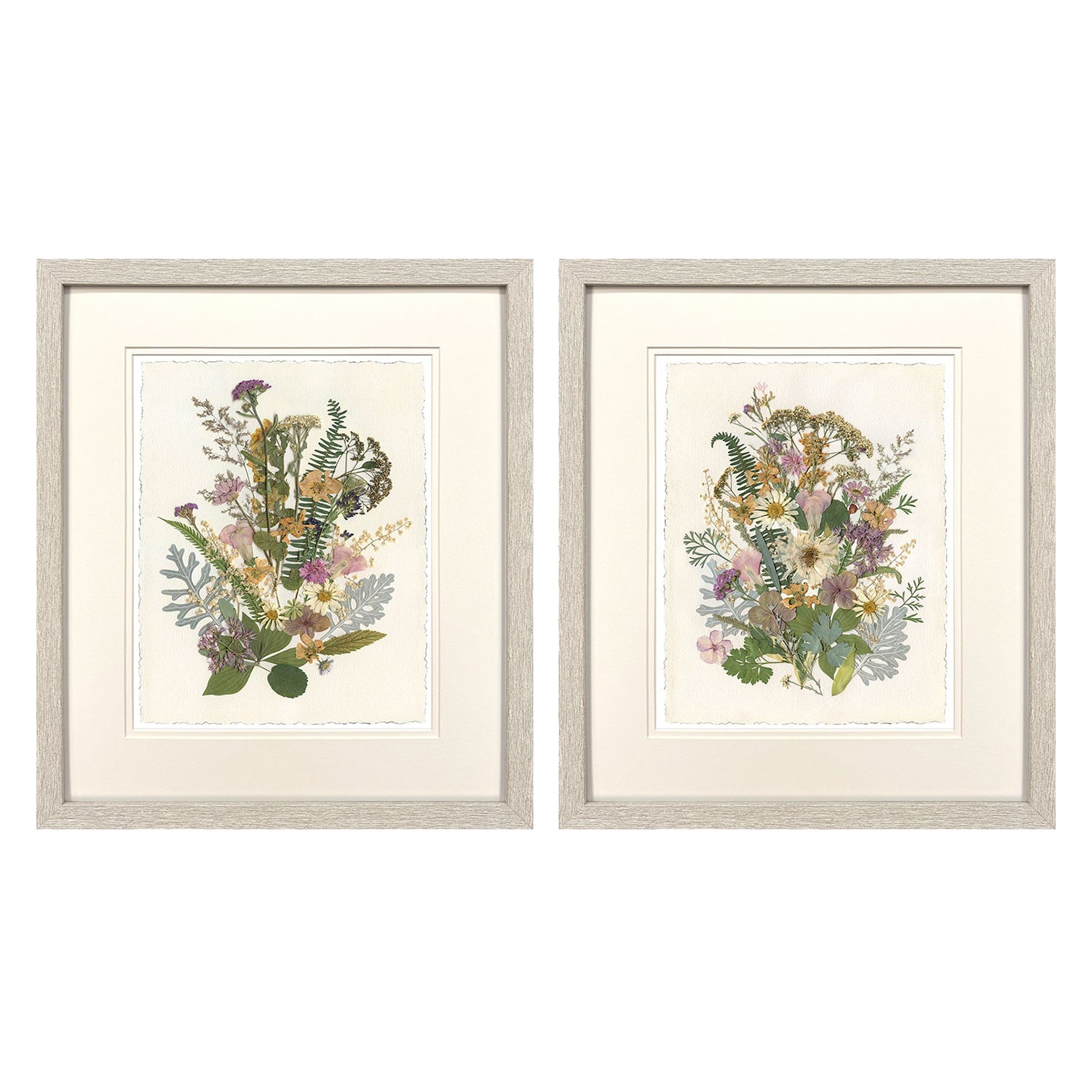 Robinson Organica Bouquet Framed Artwork Set of 2