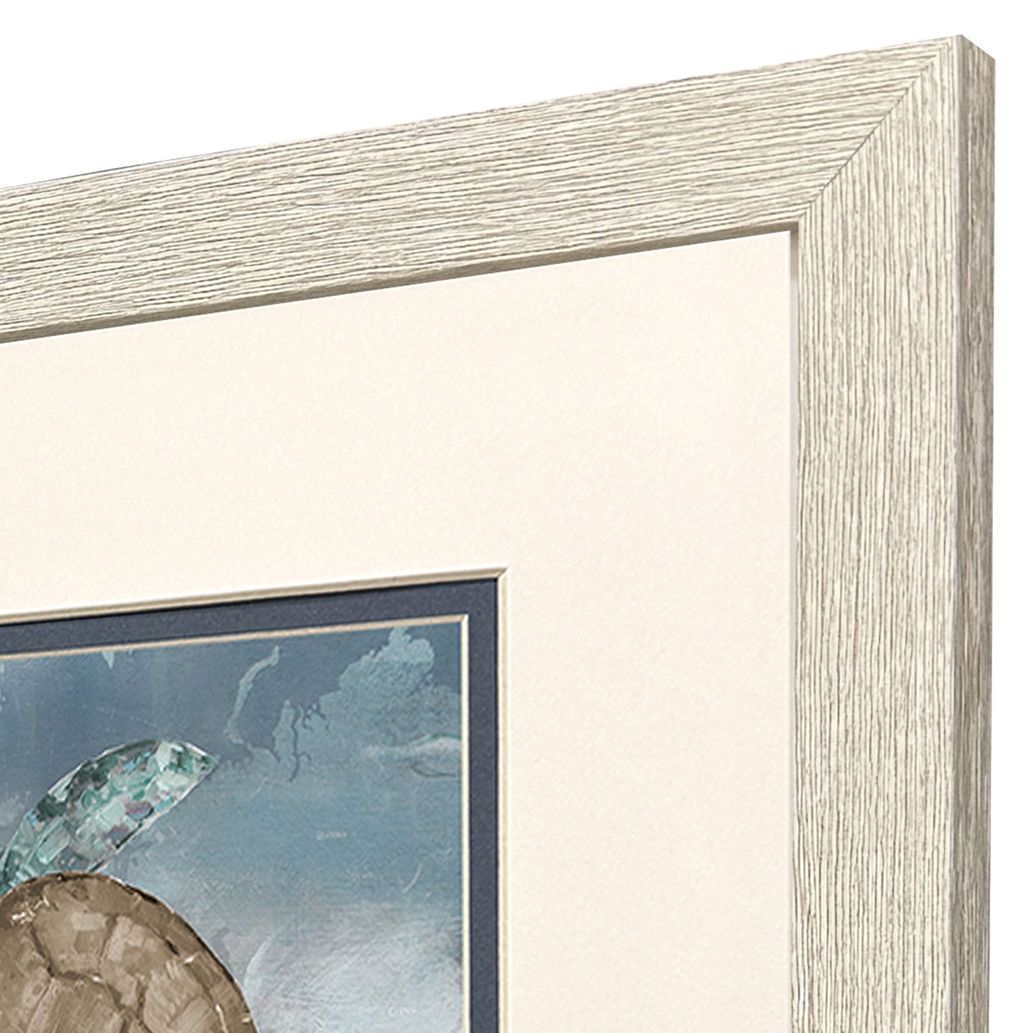 Sarah Lang Traveling Turtle Framed Art Set of 2