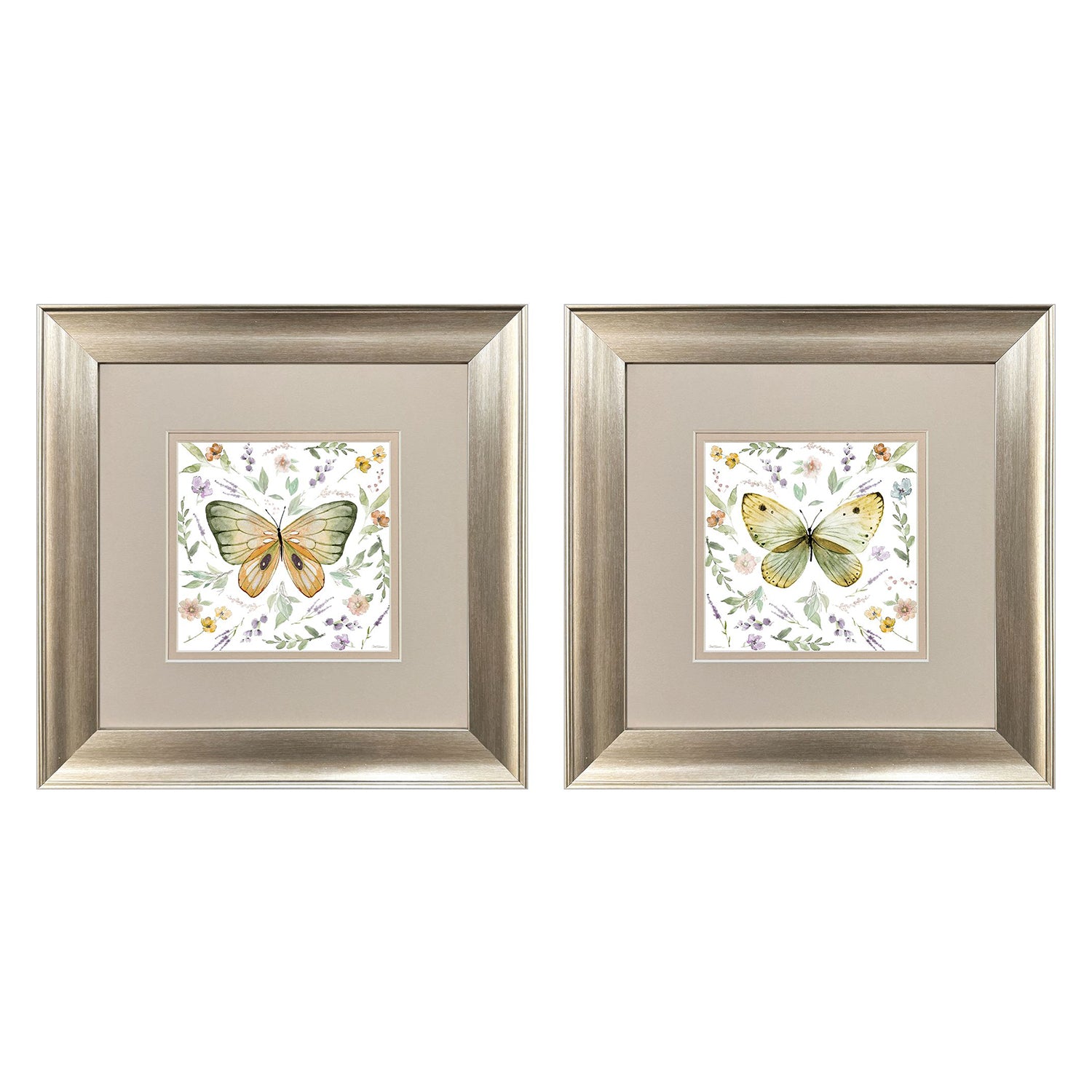 Sarah Lang Organic Nature Framed Art Set of 2