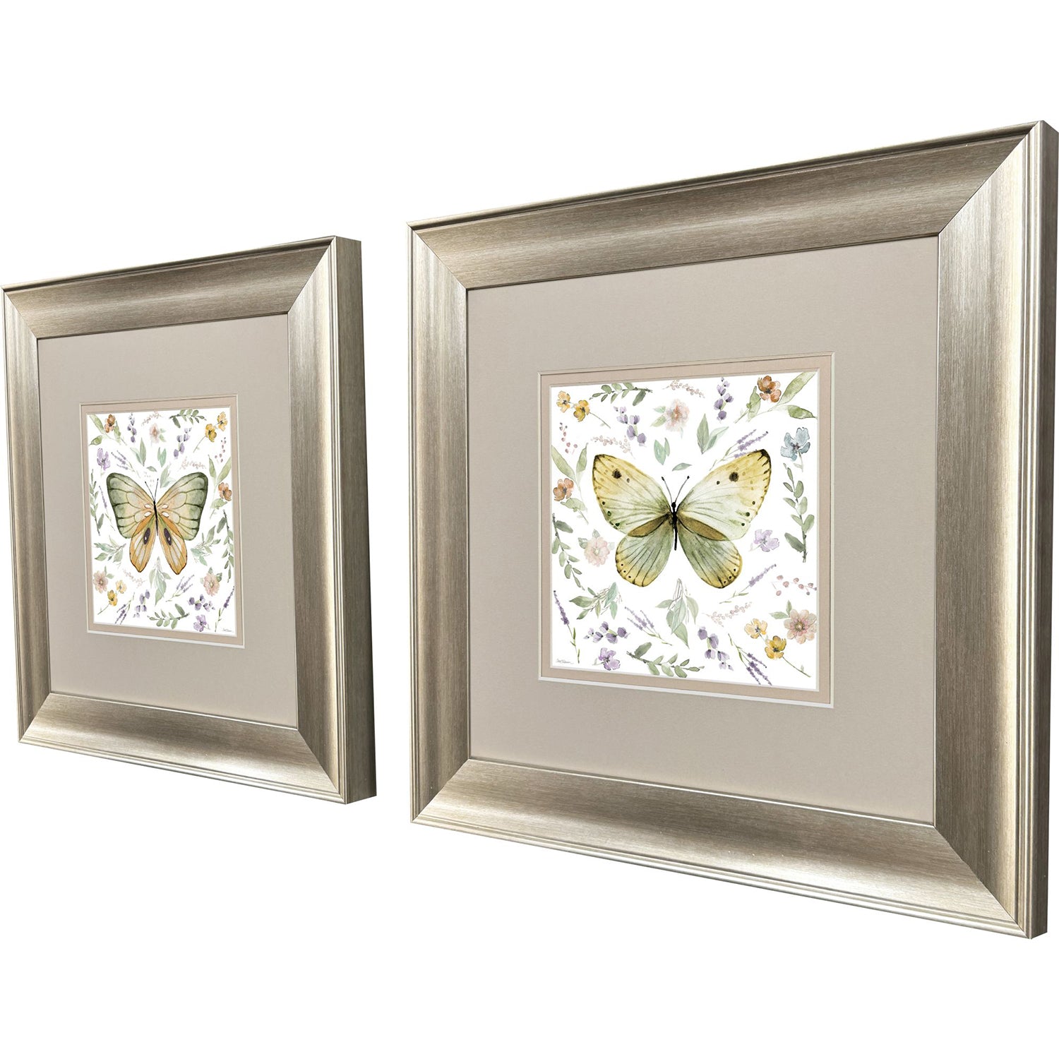 Sarah Lang Organic Nature Framed Art Set of 2