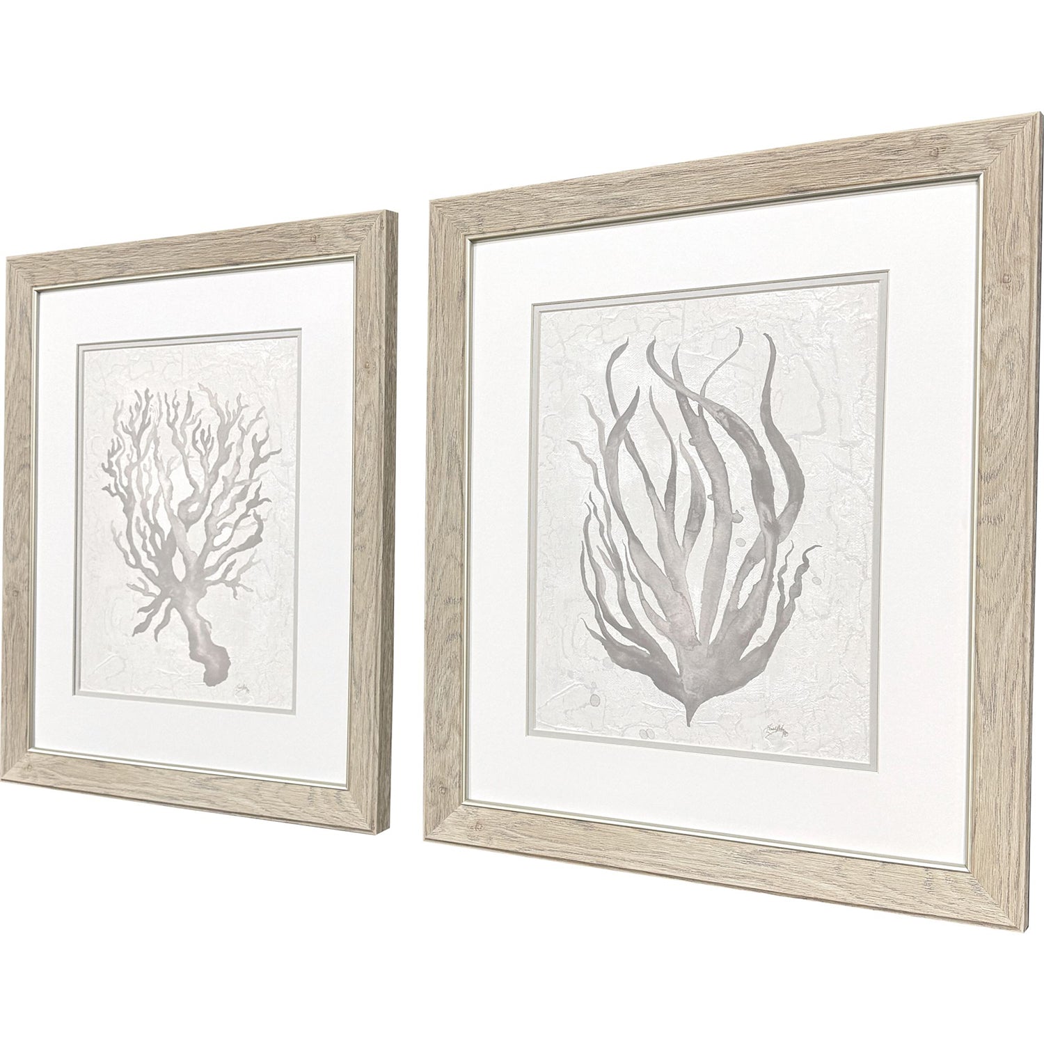 Jordan Glassco-Smith Neutral Seagrass Framed Art Set of 2