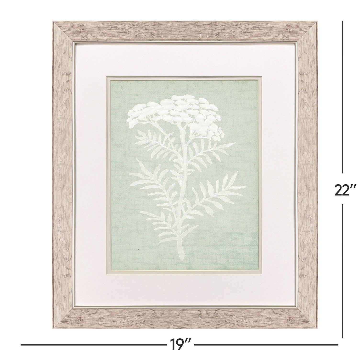 Jordan Glassco-Smith Herb Framed Art Set of 2