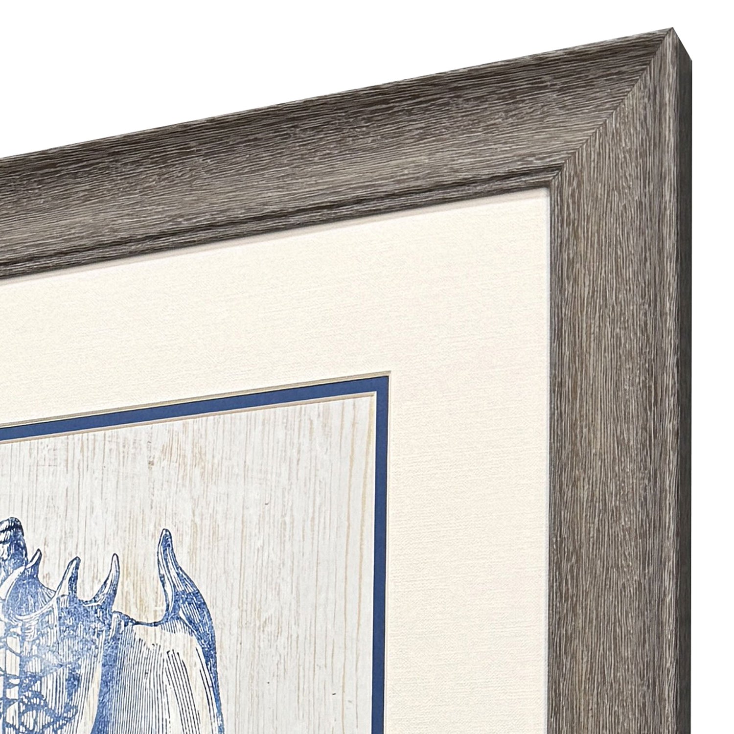 Leeanne Vaughn Ocean Echoes I Framed Art Set of 2