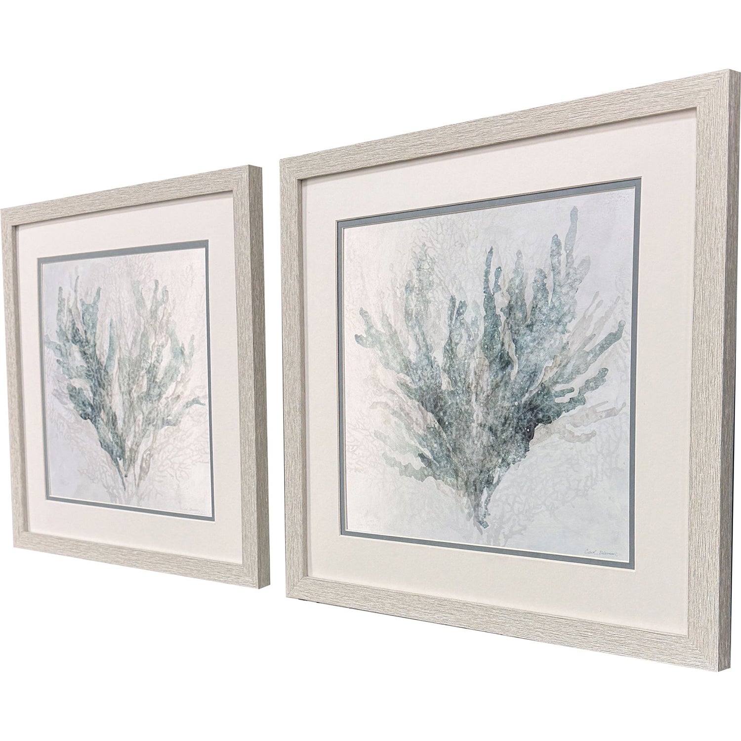 Jordan Glassco-Smith Coral Splash Framed Art Set of 2