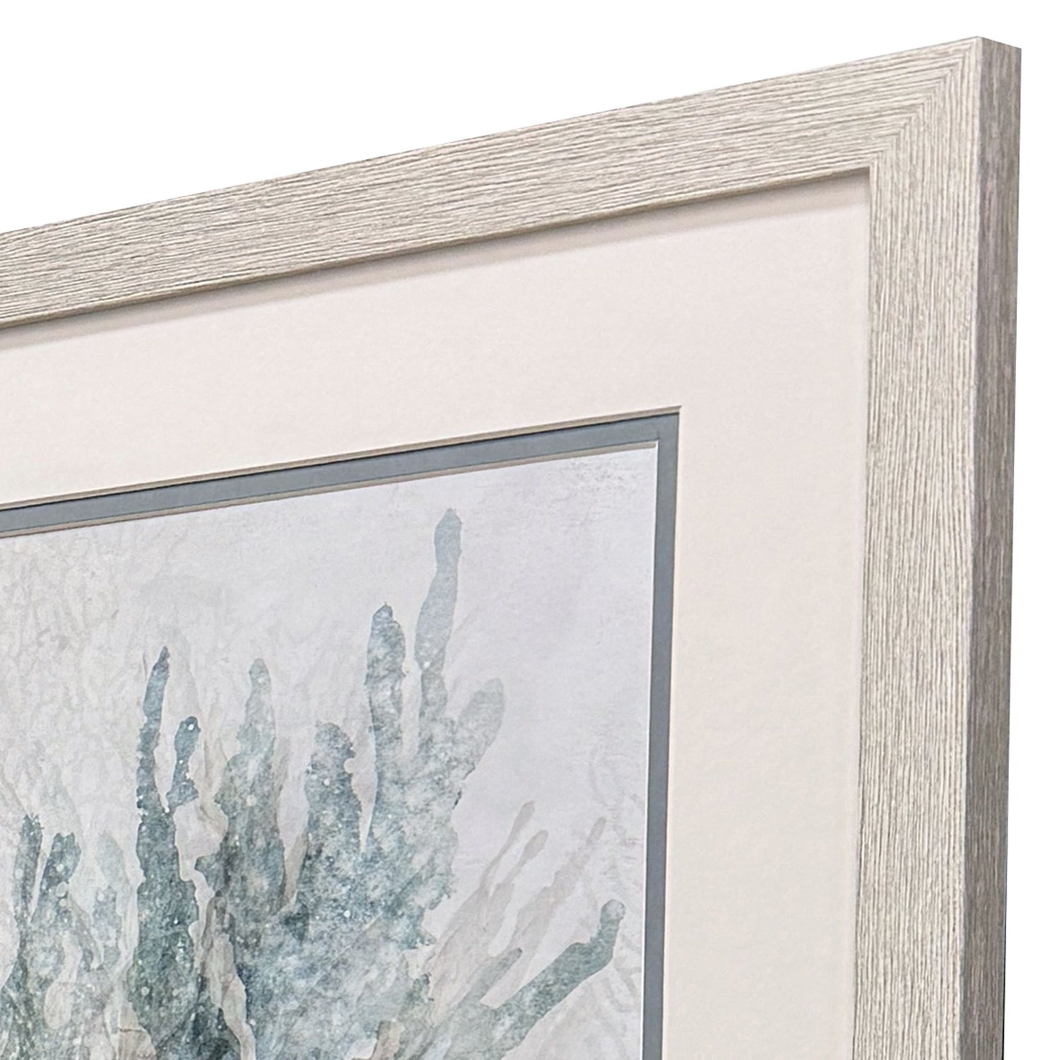 Jordan Glassco-Smith Coral Splash Framed Art Set of 2