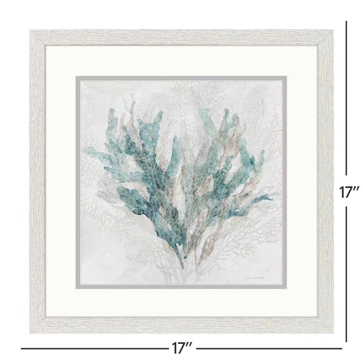 Jordan Glassco-Smith Coral Splash Framed Art Set of 2