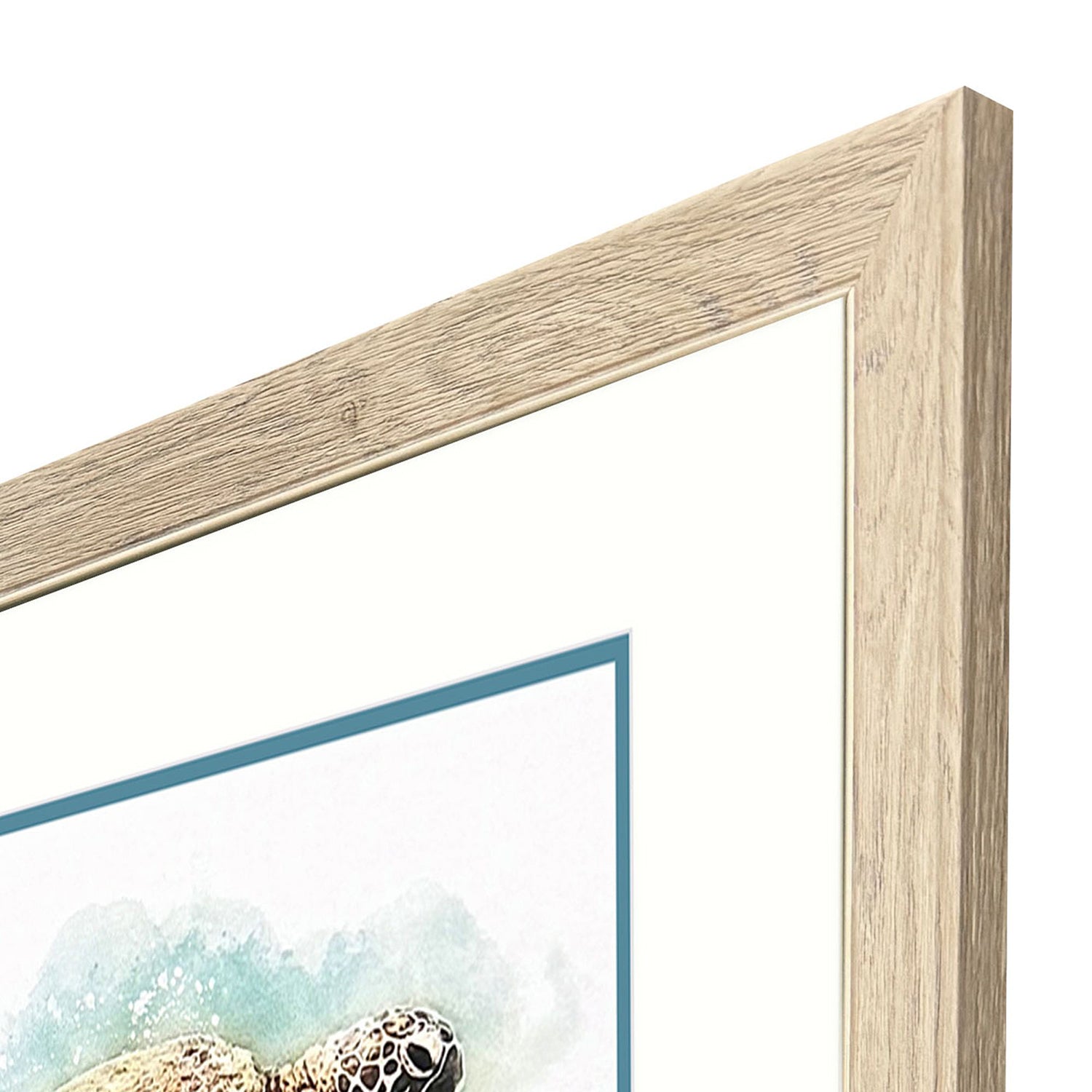 Malanta Knowles Hawaiian Turtle Framed Art Set of 2