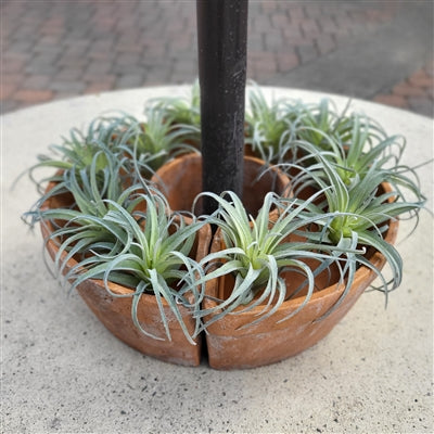 Tresco Umbrella Planter