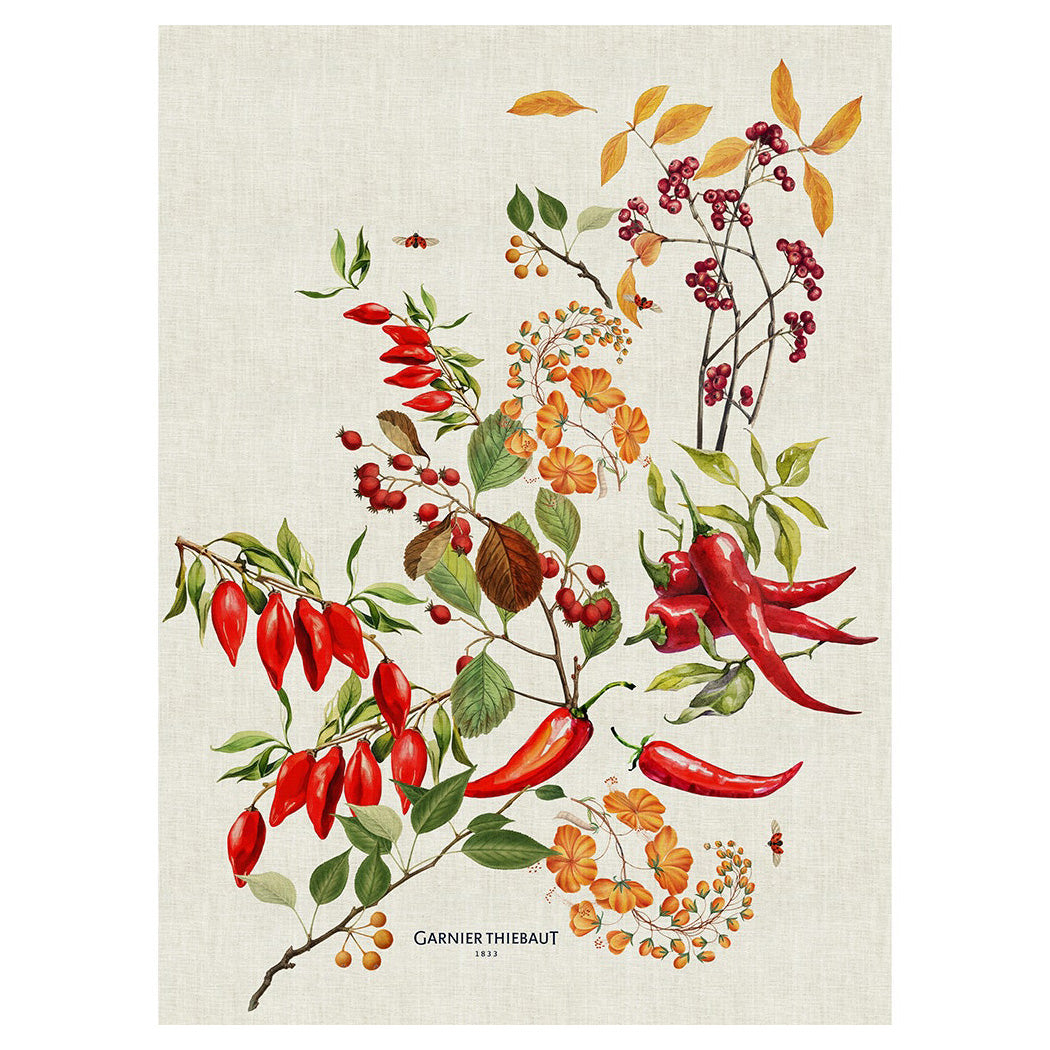Garnier Thiebaut Piments Doux Epices Kitchen Towel Set of 4