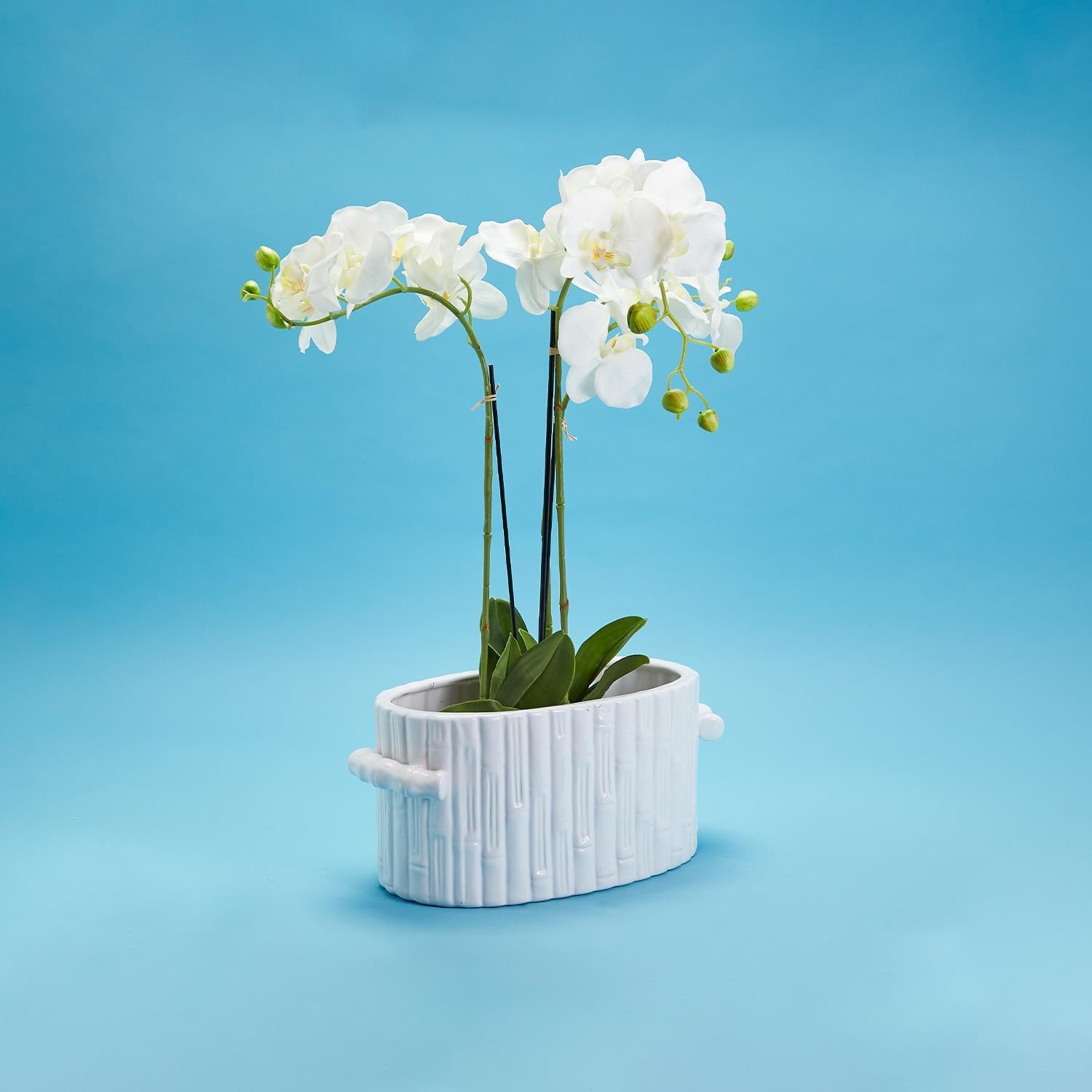 Faux Bamboo Oval Centerpiece/Cachepot