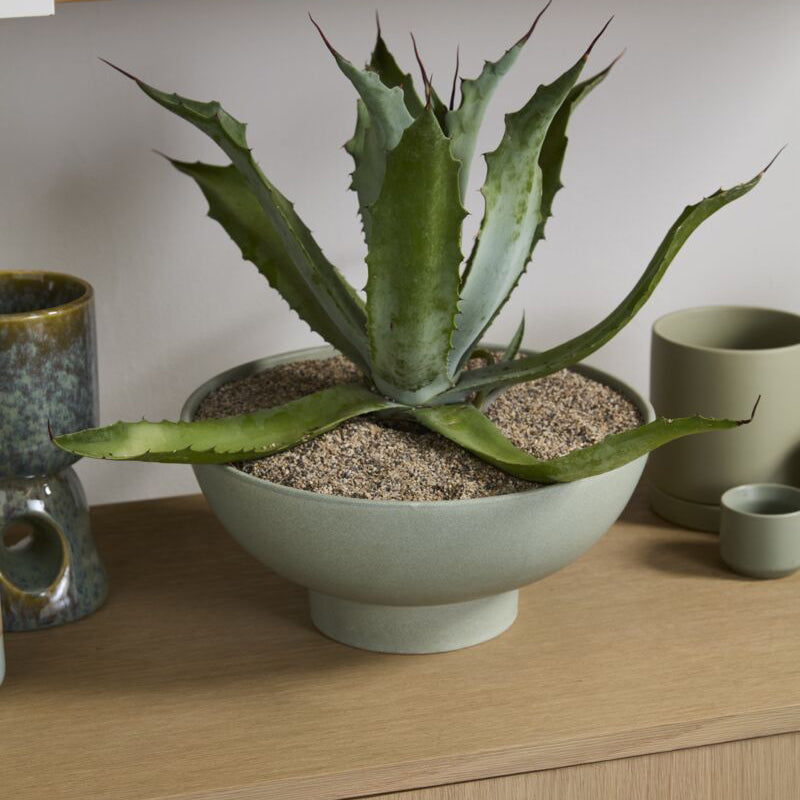 Beltine Bowl with Saucer