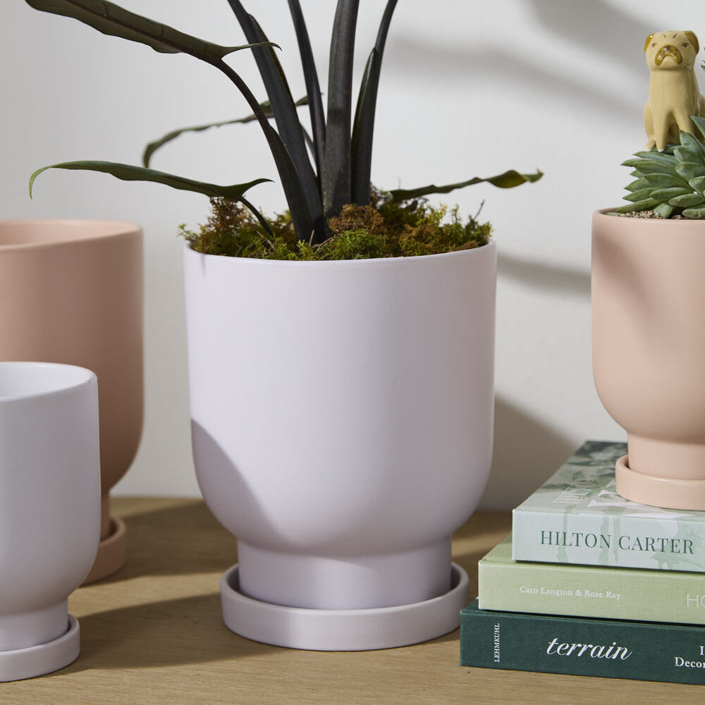 Tarrytown Pot with Saucer shown as a styled home décor accent