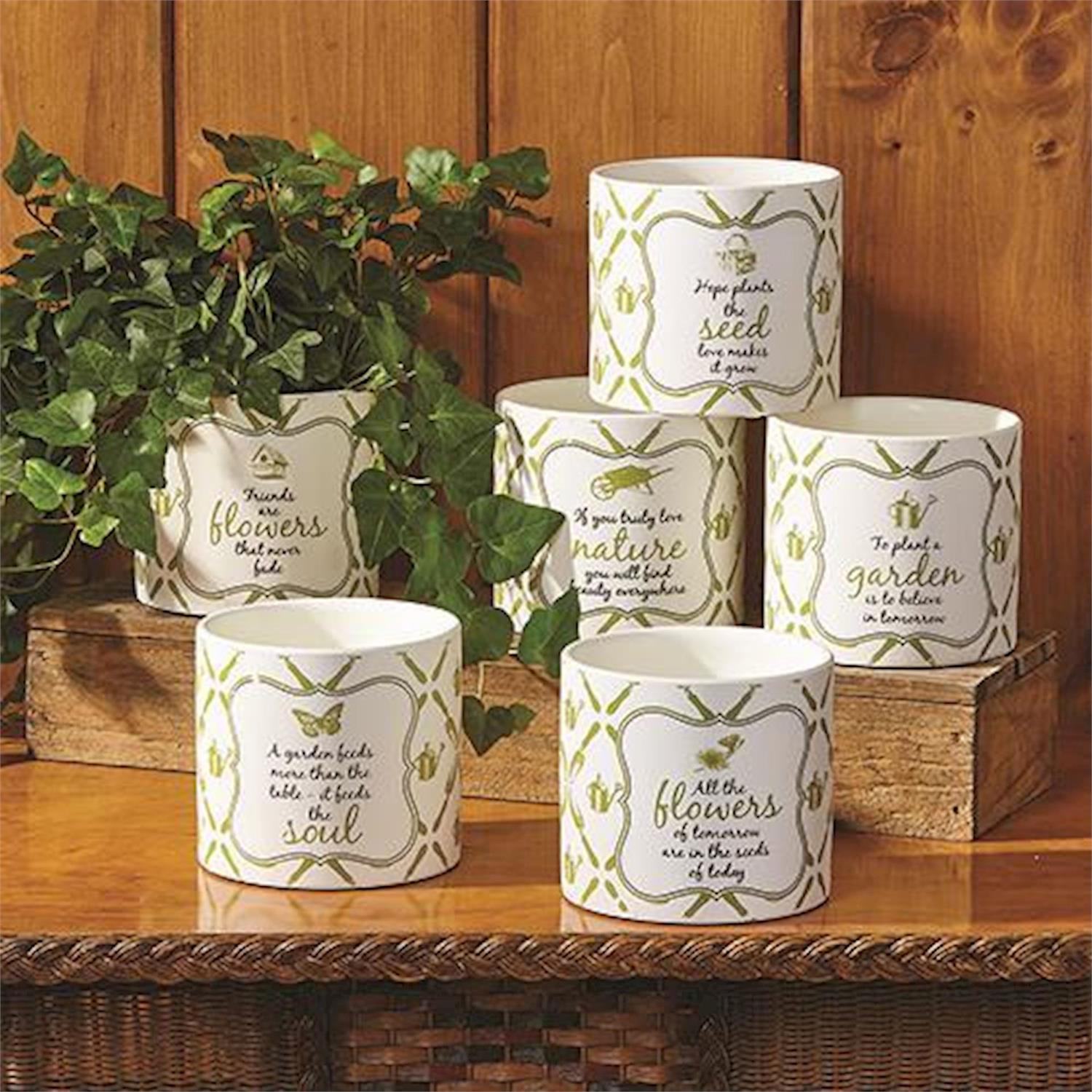 Garden Cachepot Set of 6
